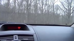 Milf sucks dick in car
