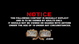 Interracial Blowjob, Cumshot, Schwarz, Dreier, Schwänze – die bärentätowierten Adrian Suarez und Micah Martinez werden in den Arsch gefickt, BBC