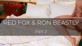 Red-on-red with Red Fox (part 2)