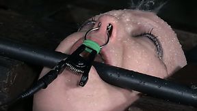 Bald white slut Abigail Dupree is a queen of hard BDSM sessions