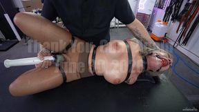 Thank You, Cum Again