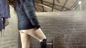 Ignored In The Stable