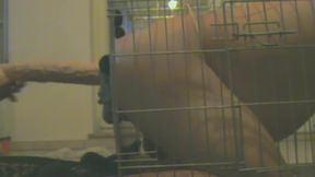 Slave in Cage Gets Anal Used