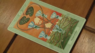 Loose Slutty Bareback Whore Melina Mason- Skankery