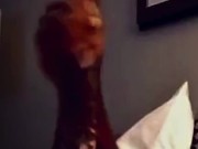 Big stick rapper dick