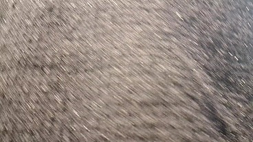 Greasy milf farts thong and hairy pussy