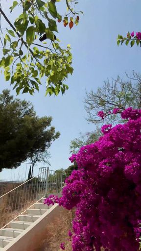 Walking Naked Till I Get Caught