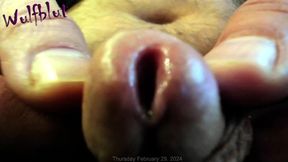 Nutting Sausage Close-up