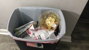 Teeny Trash Party V3