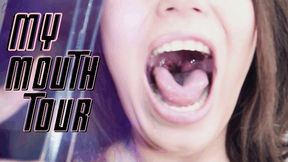 My Mouth Tour - WMV