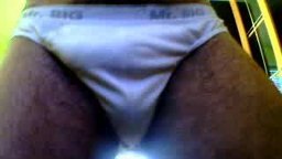 back double biceps show and legs