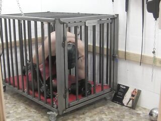 The thrall in her cage