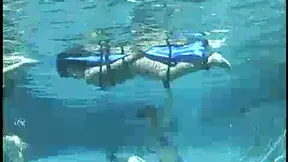 Seductive Audrey Drowns DragonLily, Takes Over Her Asian Pussy Playfully