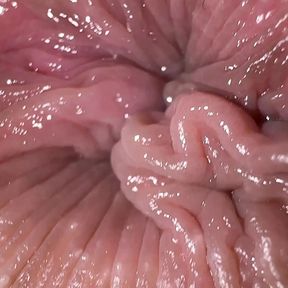 Close up ass fingering and dirty talk, anal masturbation orgasm