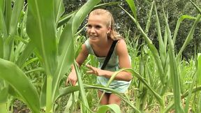 Blond lesbians passionately kiss and toy with dildos in a secluded field