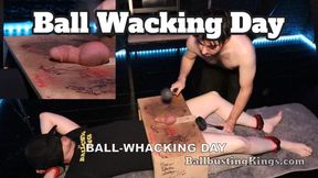 Ball-Whacking Day (PIP)