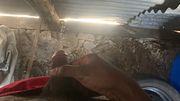 Male Pee Compilation in Neighbor Shed Risky Public - Piss Relief