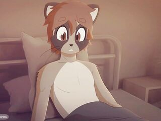 Ace (Eipril Yiff Animation)