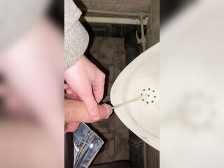 I pee in the public crapper POV