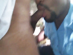 sai do plant o passei no parque pra mamar os casados no