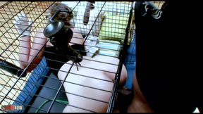 Mr Marcus: Kiara Marie Chubby Blonde Big Tits Fucked by Big Black Cock Mr Marcus in Cage Cumshot