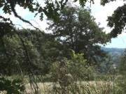 Manta Raye in Outdoor Stalking