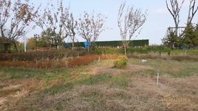 Chinese Bondage Two Girls In A Public Park