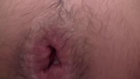 Star Fuckers: Andy Star Collection