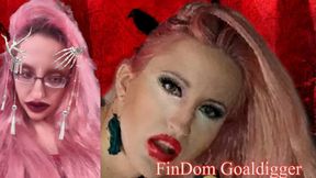 Transformation into VIP Money Face Fetish Slave