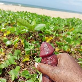 Cut Cock cumshot at beach oil massage Sinhala boy with cock ring srilanka