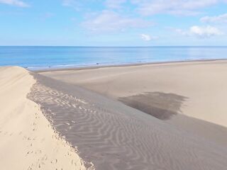 Lily's Adventure: LARGE SHOCK In The Centre Of The Dunes! - LilyKoti