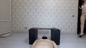 Lick My Ass Toilet