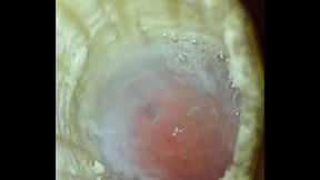 Fay cums Twice inside you! POV View