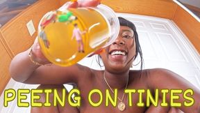 Peeing on Tinies ft Queen Ava - This pee fetish scene features giantess, tiny man, shrinking fetish, hairy pussy, and evil giantess - 1080 MP4
