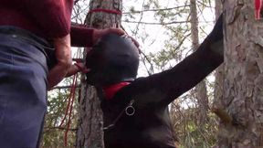 Outdoor sex in the wood. Wearing sexy clothes and high heels, bound, throated and fucked