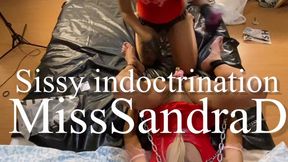 Sissy indoctrination