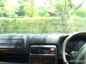 Passionate Japanese Duo Engages In Steamy Bedroom Action