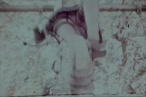 Vintage porn retro erotic theatre my hometown