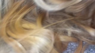 Fucking my married neighbor