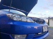 White kiwi bear fucks car tow ball, hand brake, gear shifter and oil dipstick. long version