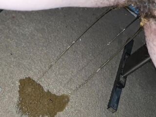 Peeing on the carpet