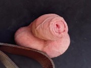 Hour long CBT session including balls slapping, hot wax play and e-stim teasing until cum leaks out