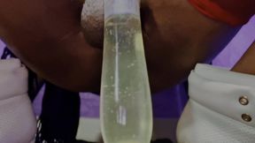 Ms300 Sarazia Exotic - Golden Goddess Nectar