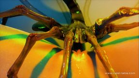 Aerith &amp_ Facehugger