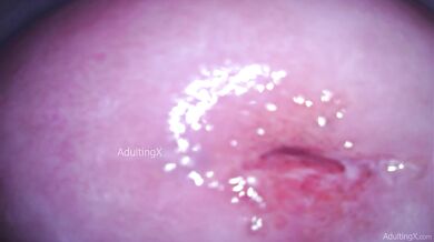 Camera Pushed Deep Into My Dripping Gape While I Talk Dirty
