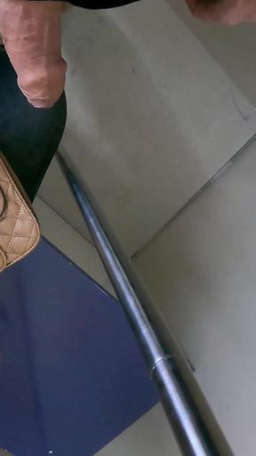 Dick Flash in Train