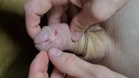 Introducing the new tail upgrade