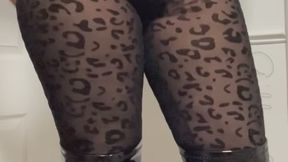 This Ass Rules You!