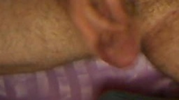 cock ,ass and balls