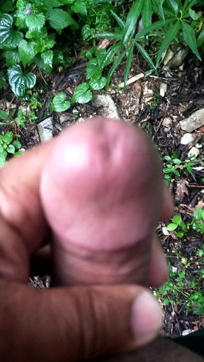 Crazy dick